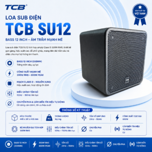 Cách chọn loa sub điện cho dàn âm thanh gia đình chuẩn chuyên gia