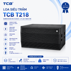 Cách chọn loa siêu trầm sân khấu: Hiểu về Loa Sub TCB T218